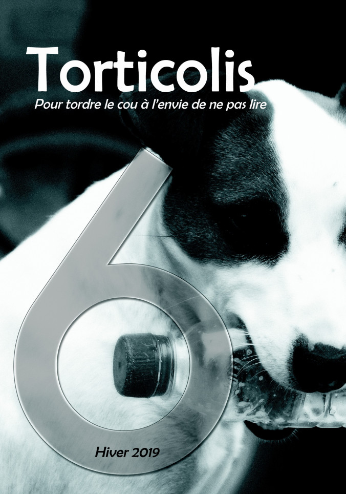 cover of Torticolis 6