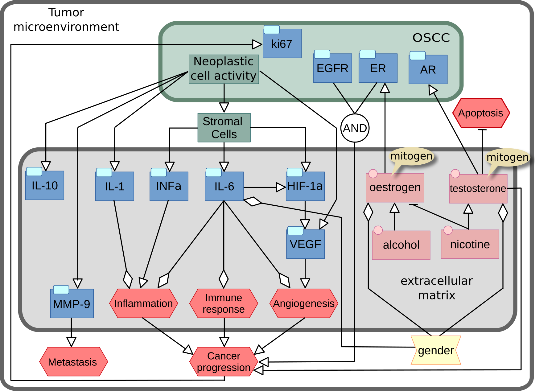 AF map of OSCC microenvironment regulation
