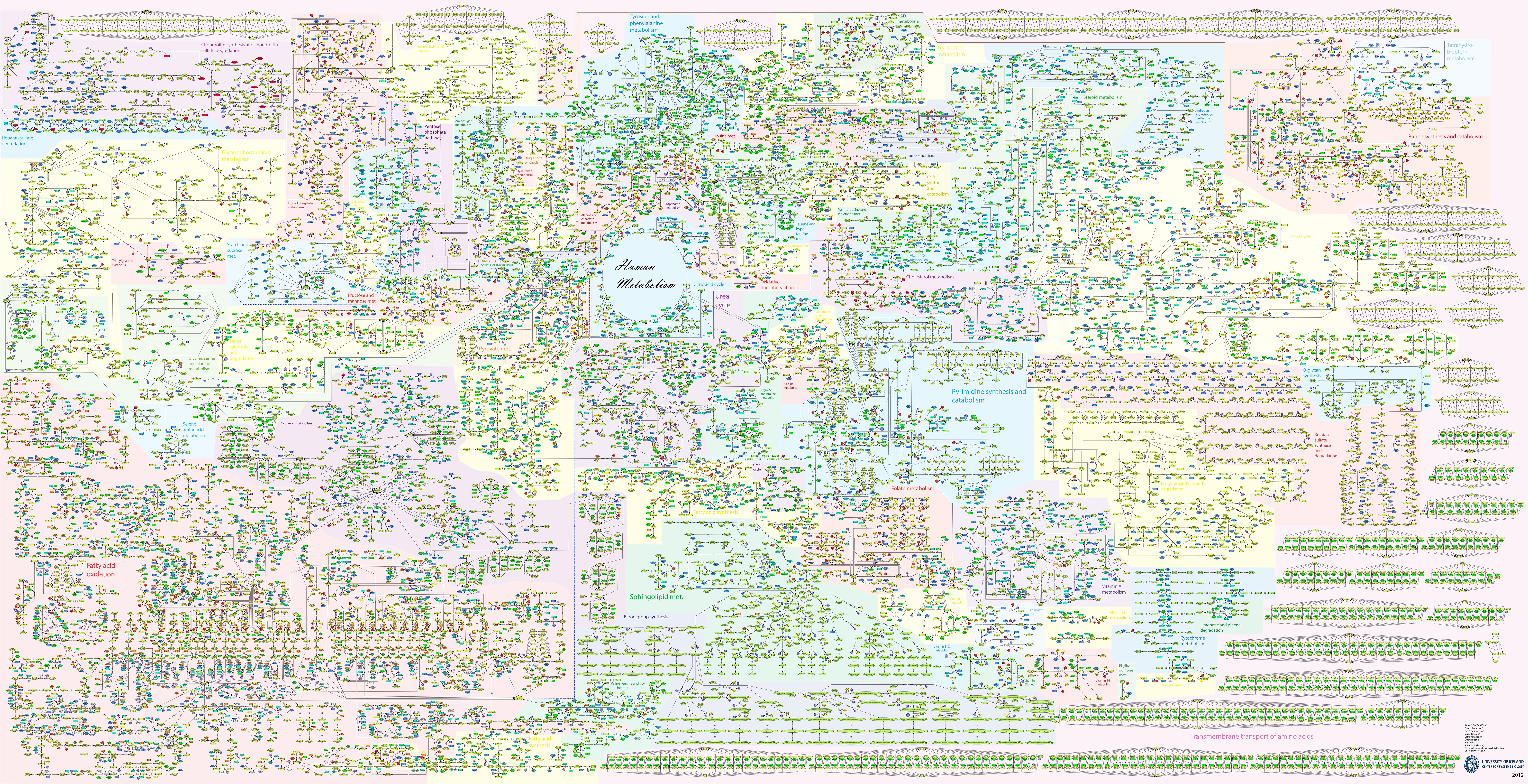 PD map of human metabolism